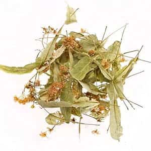 dried linden flower